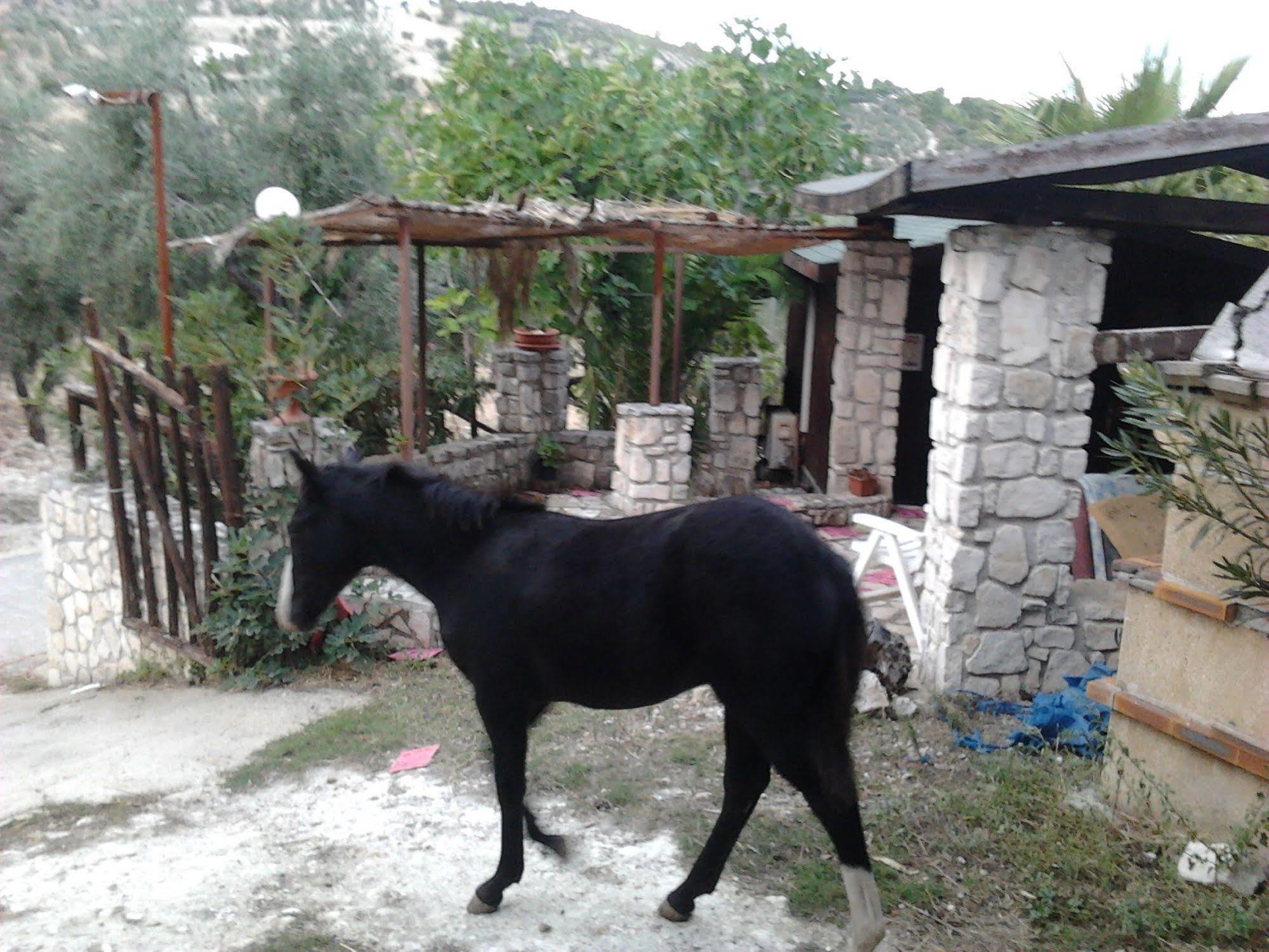 Agricostella Agriturismo Βιέστε Εξωτερικό φωτογραφία